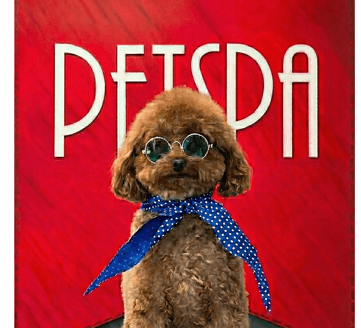 Studio portrait — best in show
