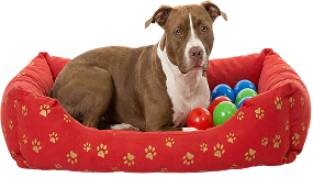 Dog resting in a luxury pet hotel suite at PetSpa
